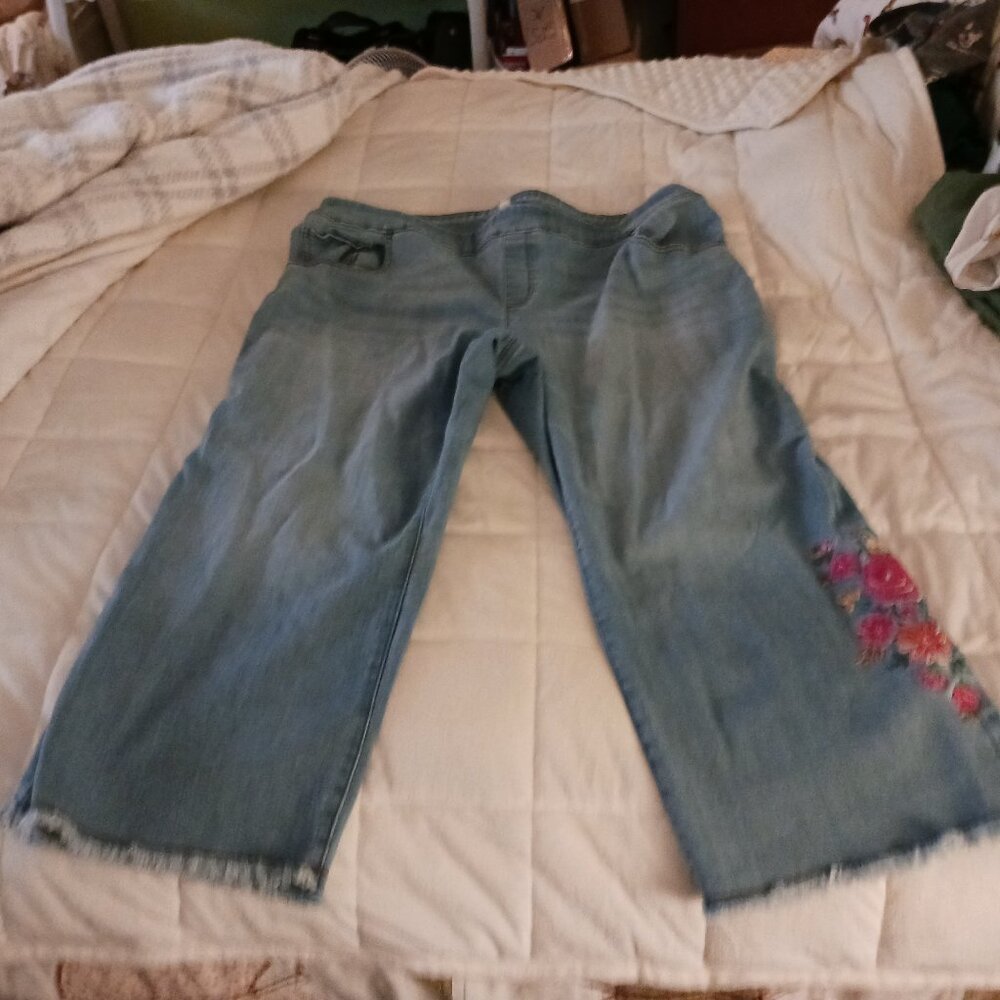 Pioneer Woman Floral Jeans size 1x
